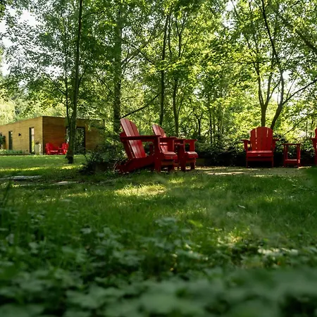 De Rietreiger Bed & Breakfast *